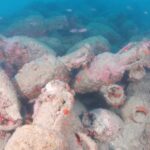 A mound of Roman-era amphorae found off the coast of Sicily.