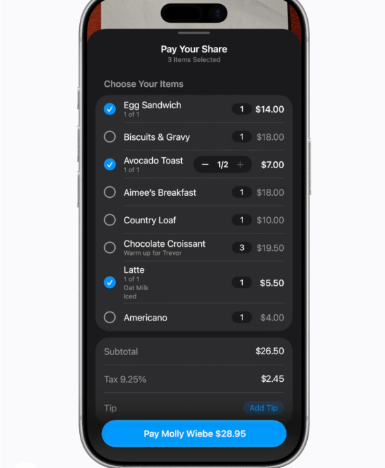 applewallet-visualintelligence