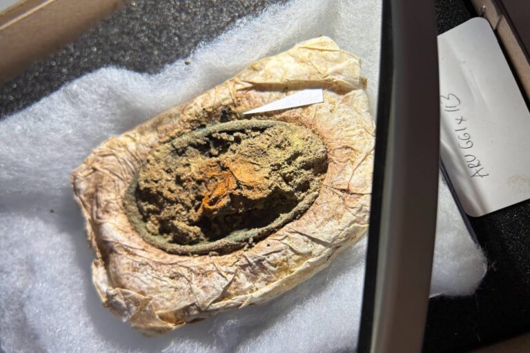 A photograph of the preserved brooch, encrusted in textile remains.