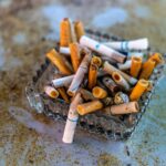 An ashtray with cigarettes.