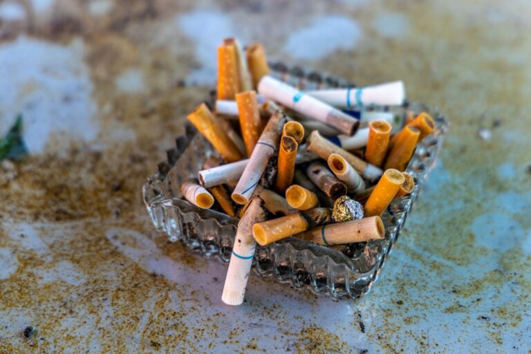 An ashtray with cigarettes.
