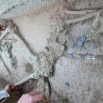 A skeleton discovered in the eastern necropolis of Apspendos.