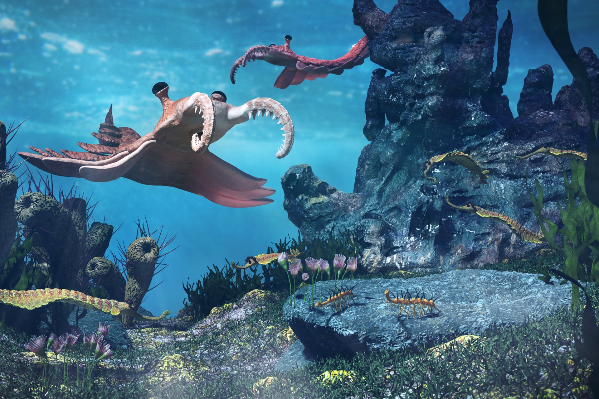 An artist's rendition of an underwater scene with creatures of the Cambrian period.