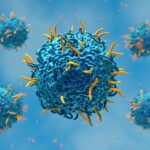 An illustration of Car T cells.