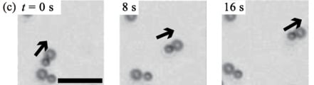 colloidal-particles-action-reaction-asymmetry-paper-1 Colloidal Particles Action Reaction Asymmetry Paper