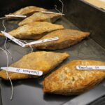 An image showing iron bars recovered from Deinham, Austria. Each of the 500+ bars was labeled individually for scientific analysis.