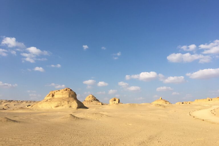 The Western Desert covers an area of approximately 262,800 square miles (680,650 square kilometers).