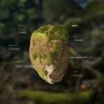 Epic Games/Loci