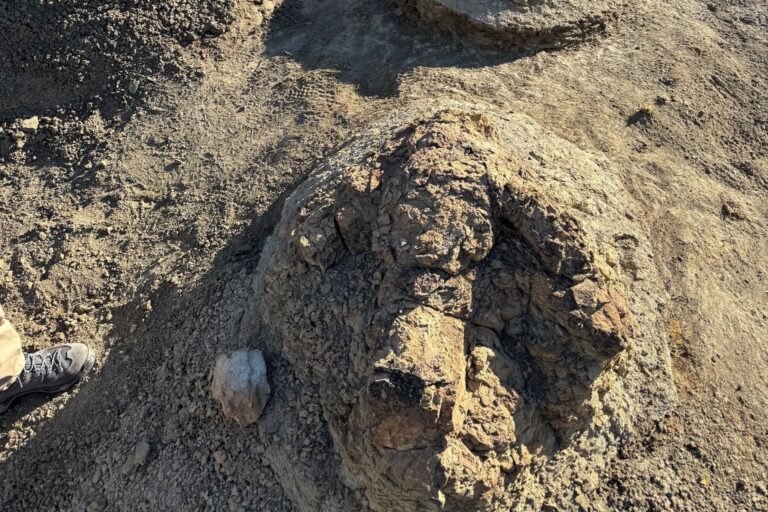 The 23-foot-long trackway was found in North Dakota.