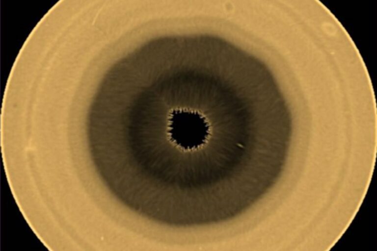 A view of Saturn's southern hemisphere captured by Hubble in August 2025.