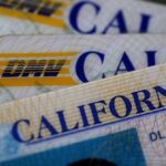 In this photo illustration, the California Department of Motor Vehicles (DMV) logo appears on a California driver license