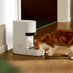 cat at a Petlibro feeder