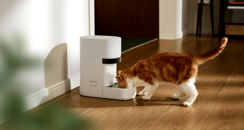 cat at a Petlibro feeder