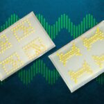 MIT researchers have engineered bacteria that can function as transistors, allowing them to create “living circuit boards” like those shown.