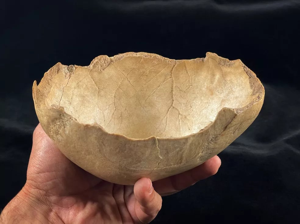 Neolithic Skull Cup Craiguela