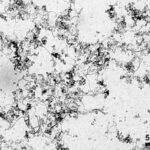 A transmission electron microscopy (TEM) image of the carbon black and carbon nanotube paint mixture that produces this ultra-dark, optical black hole effect.