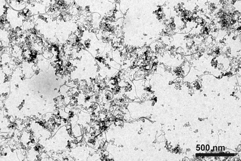 A transmission electron microscopy (TEM) image of the carbon black and carbon nanotube paint mixture that produces this ultra-dark, optical black hole effect.