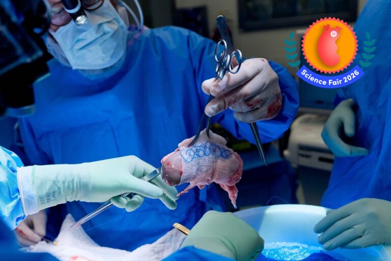 Robert Montgomery picking up a gene-edited pig kidney during a xenotransplantation procedure performed in November 2024.