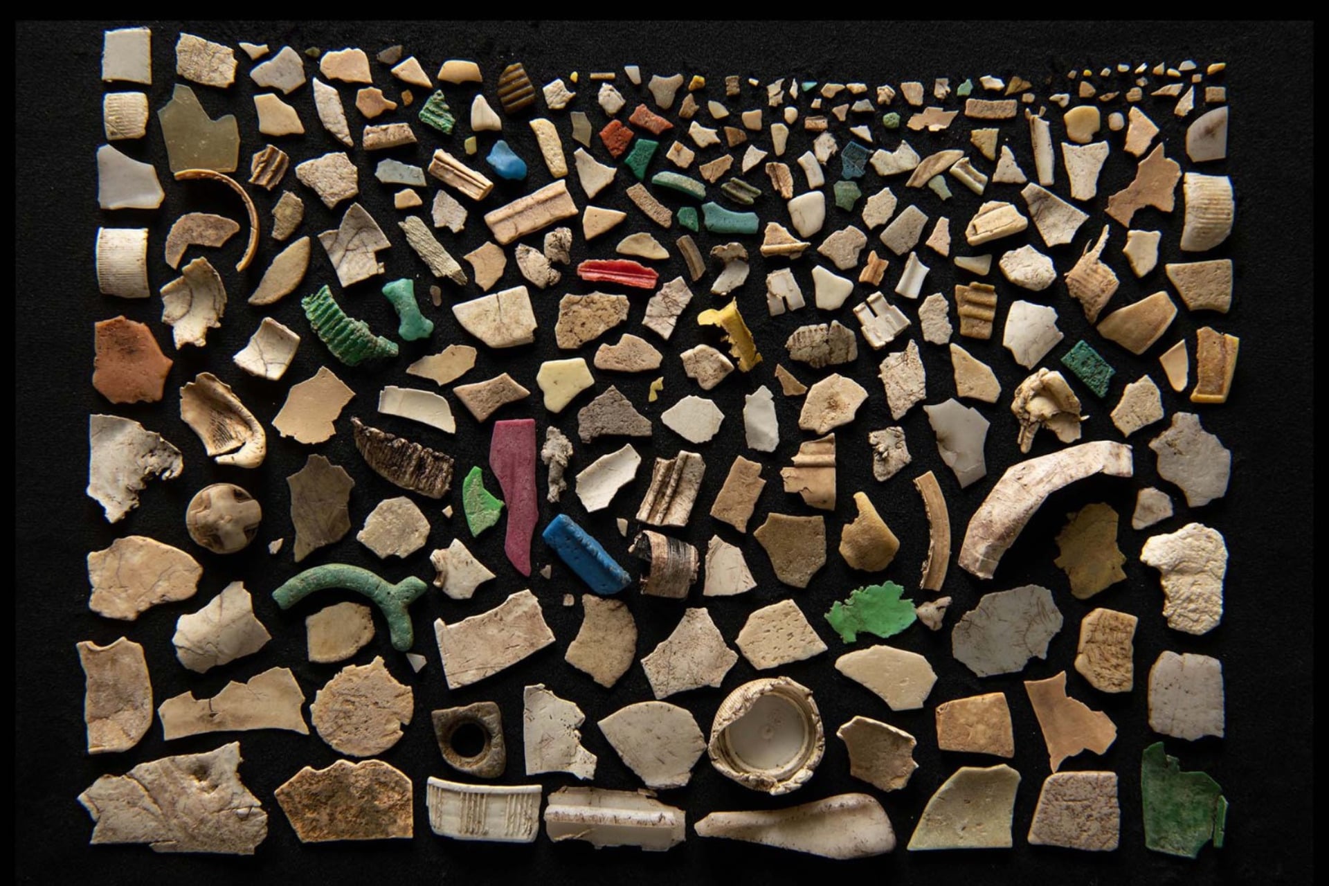 All of this plastic was flushed out of a bird.