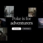 Poke header