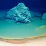 Cameras onboard a Mariner XL Argus remotely operated vehicle (ROV) imaged this deadly deep-sea brine pool in the northern Red Sea, before sampling its sediments for traces of life.