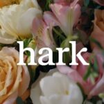 Hark over flower backdrop