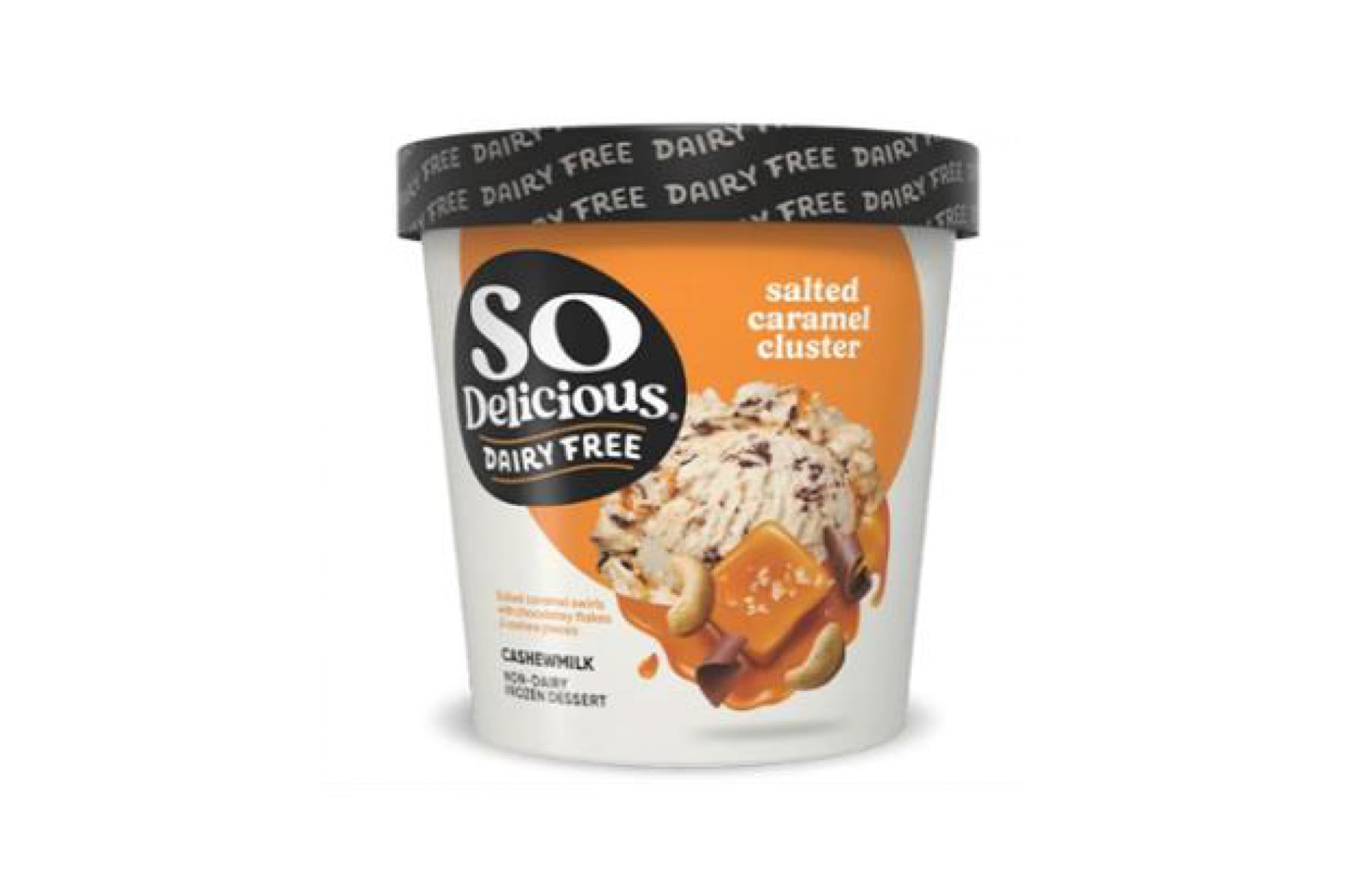 So Delicious Dairy Free® Salted Caramel Cluster Non-Dairy Frozen Dessert