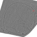 An aerial, remote sensing image of the 6,500-year-old Neolithic ritual structure found just outside of Prague in the Czech Republic. Credit: University of West Bohemia