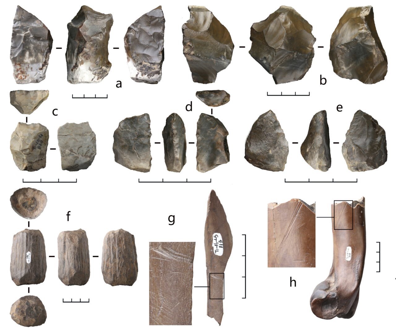 Stone Artifacts Modified Bones Bianfu Denisovans