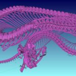 A CT scan of the entire skeleton of a spider-tailed horned viper.