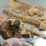 The skeletal remains of a woman subjected to an "anti-demonic" burial in Poland. The ceiling of her mouth is presumed to have turned green from copper inserts meant to thwart evil.