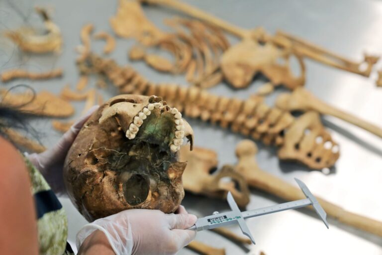 The skeletal remains of a woman subjected to an "anti-demonic" burial in Poland. The ceiling of her mouth is presumed to have turned green from copper inserts meant to thwart evil.