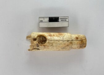 Bone Flute