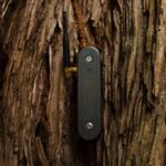 An electrical sensor is attached to a tree trunk.