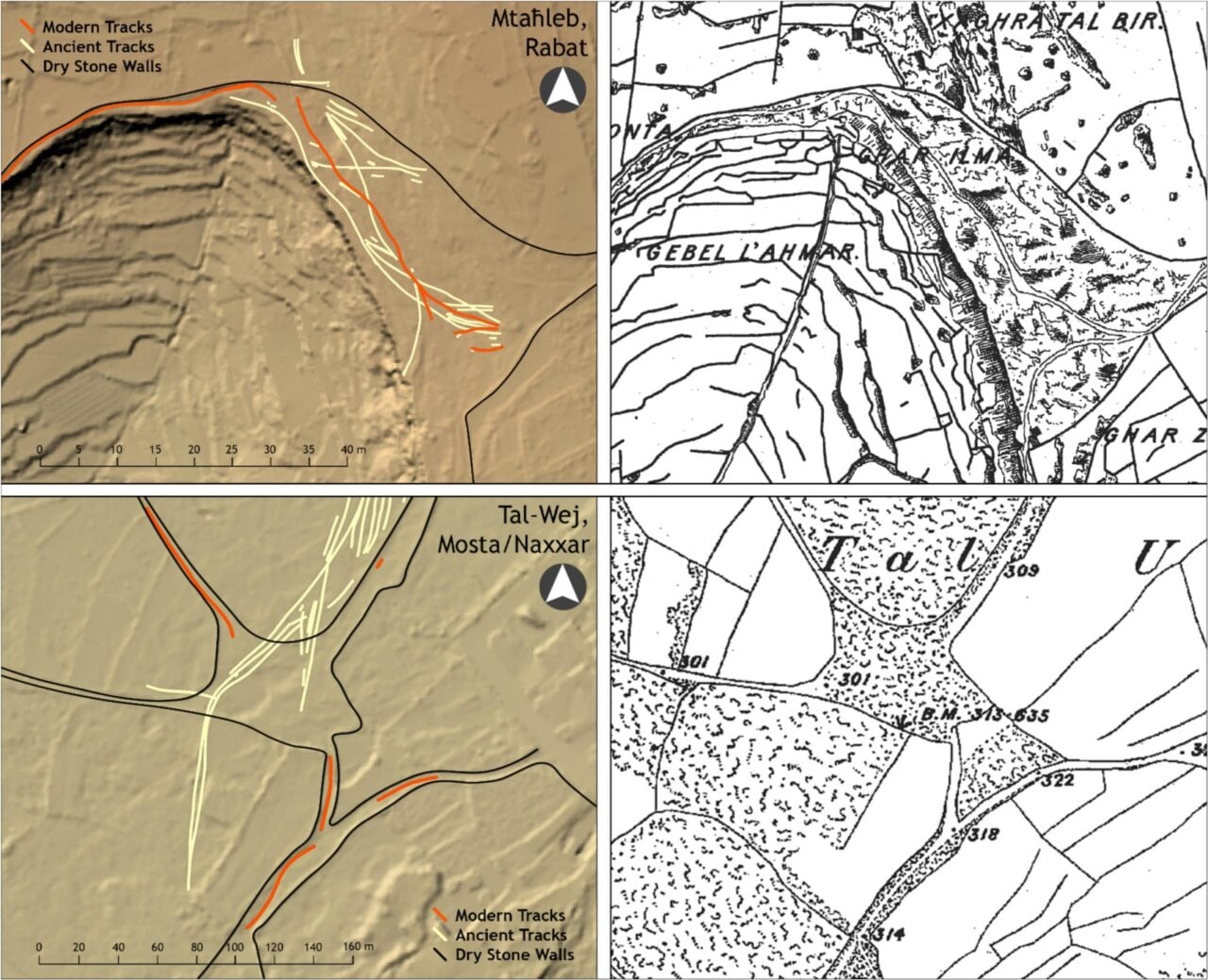 maltese-tracks-comparison-1280x1039-1 Maltese Tracks Comparison