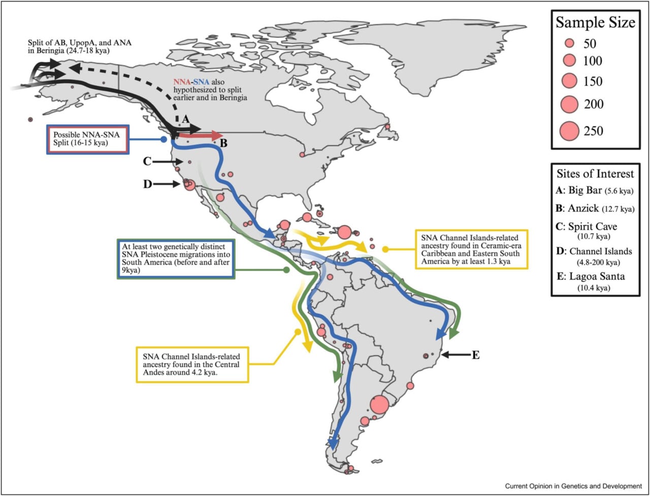 map-america-migration-1280x977-1 Map America Migration