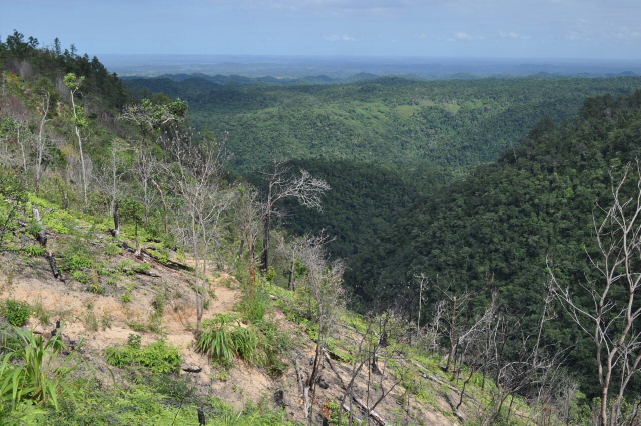 maya-mountains-1280x850-1 Maya Mountains