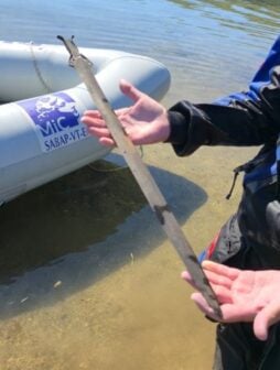 Researcher Holds Sword From Mezzano Lake