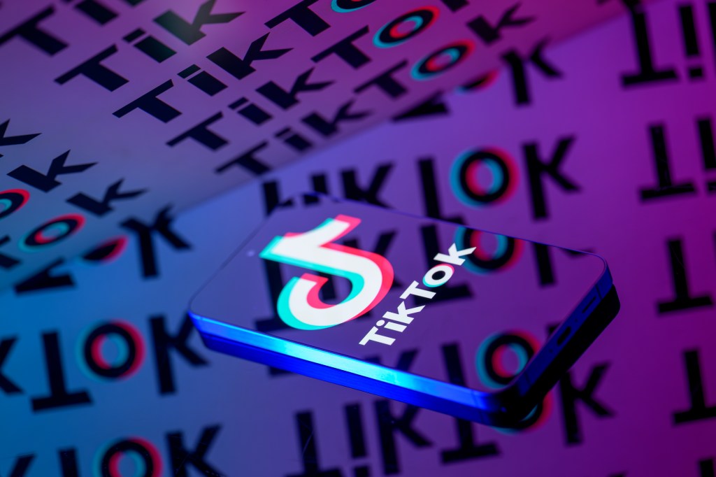 The TikTok logo is displayed on a smartphone screen in this photo illustration.