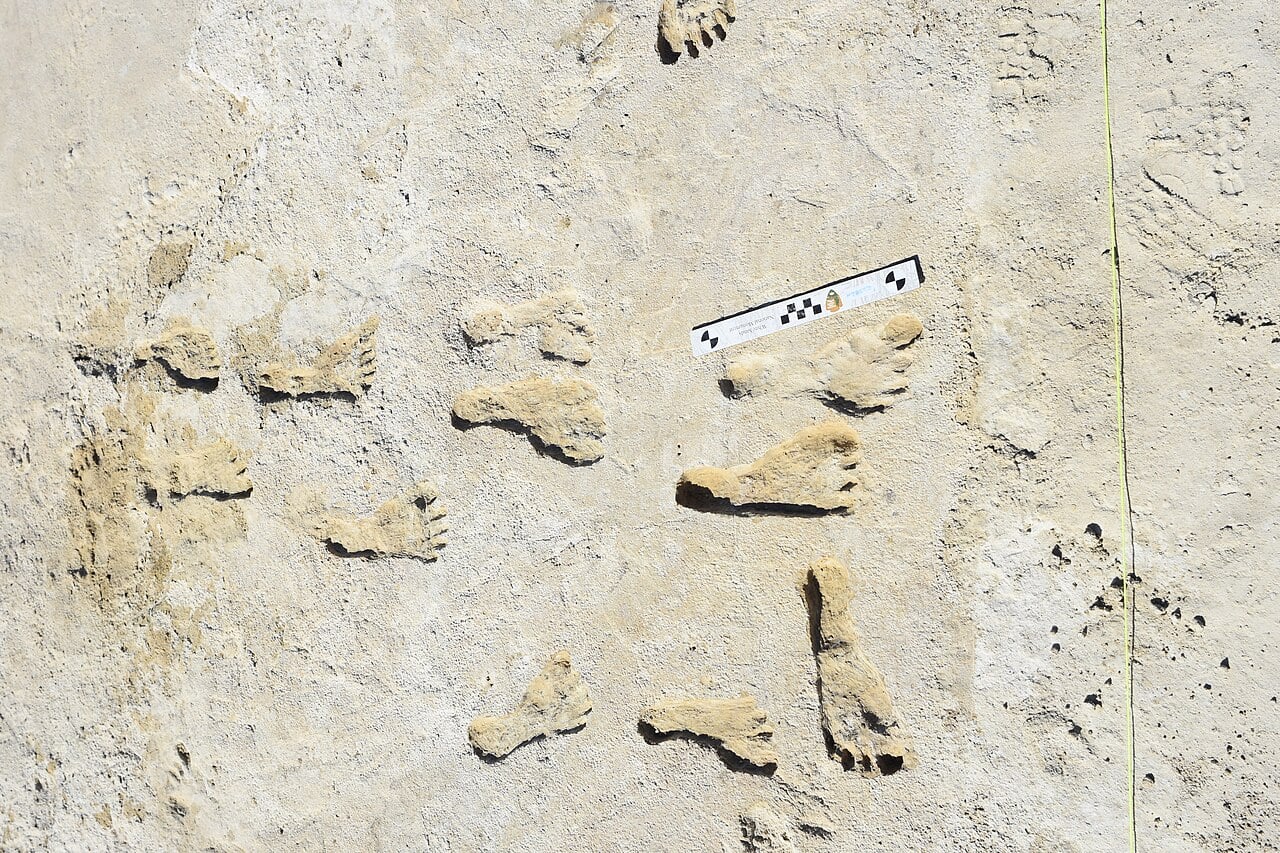 white-sands-footprints White Sands Footprints