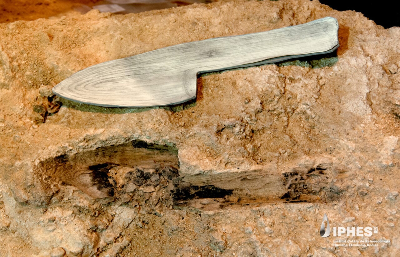 wooden-club-like-object-neanderthal-1280x824-1 Wooden Club Like Object Neanderthal